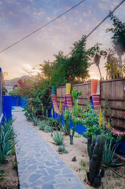 Ocean Tigers Dive House Hostel Cabo San Lucas 0*,