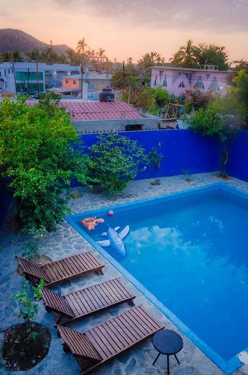 Ocean Tigers Dive House Hostel Cabo San Lucas