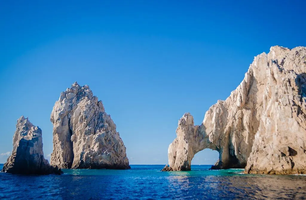 Ocean Tigers Dive House Hostel Cabo San Lucas 0*,