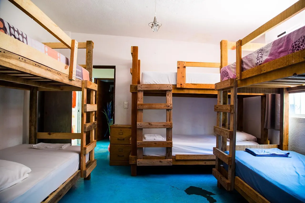 Ocean Tigers Dive House Hostel Cabo San Lucas Mexico