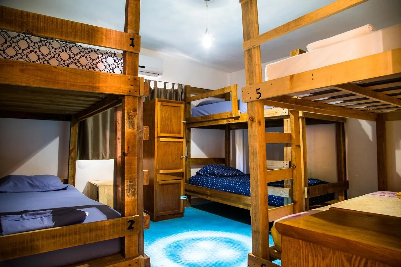 Ocean Tigers Dive House Hostel Cabo San Lucas