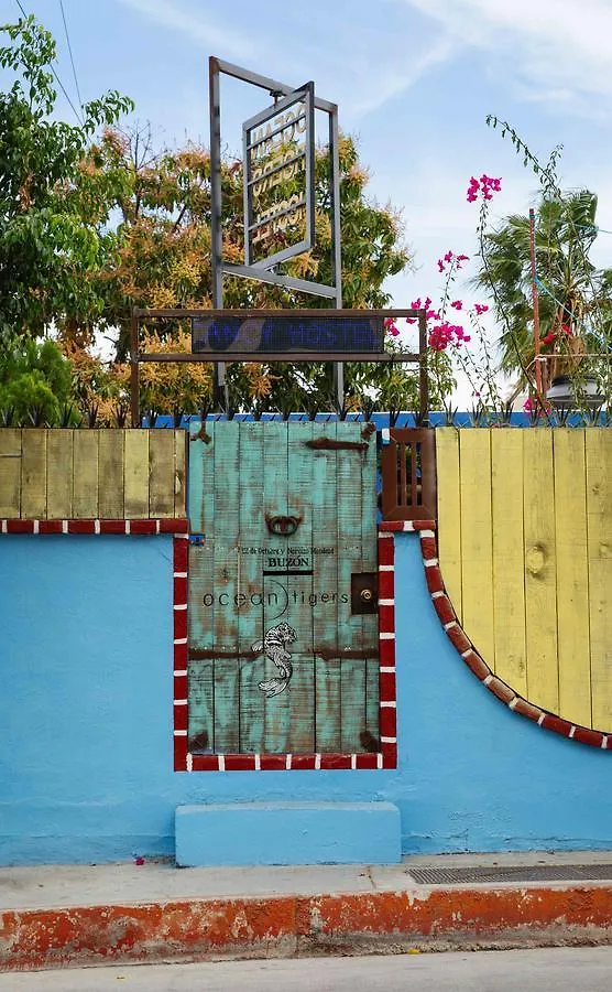 Ocean Tigers Dive House Hostel Cabo San Lucas