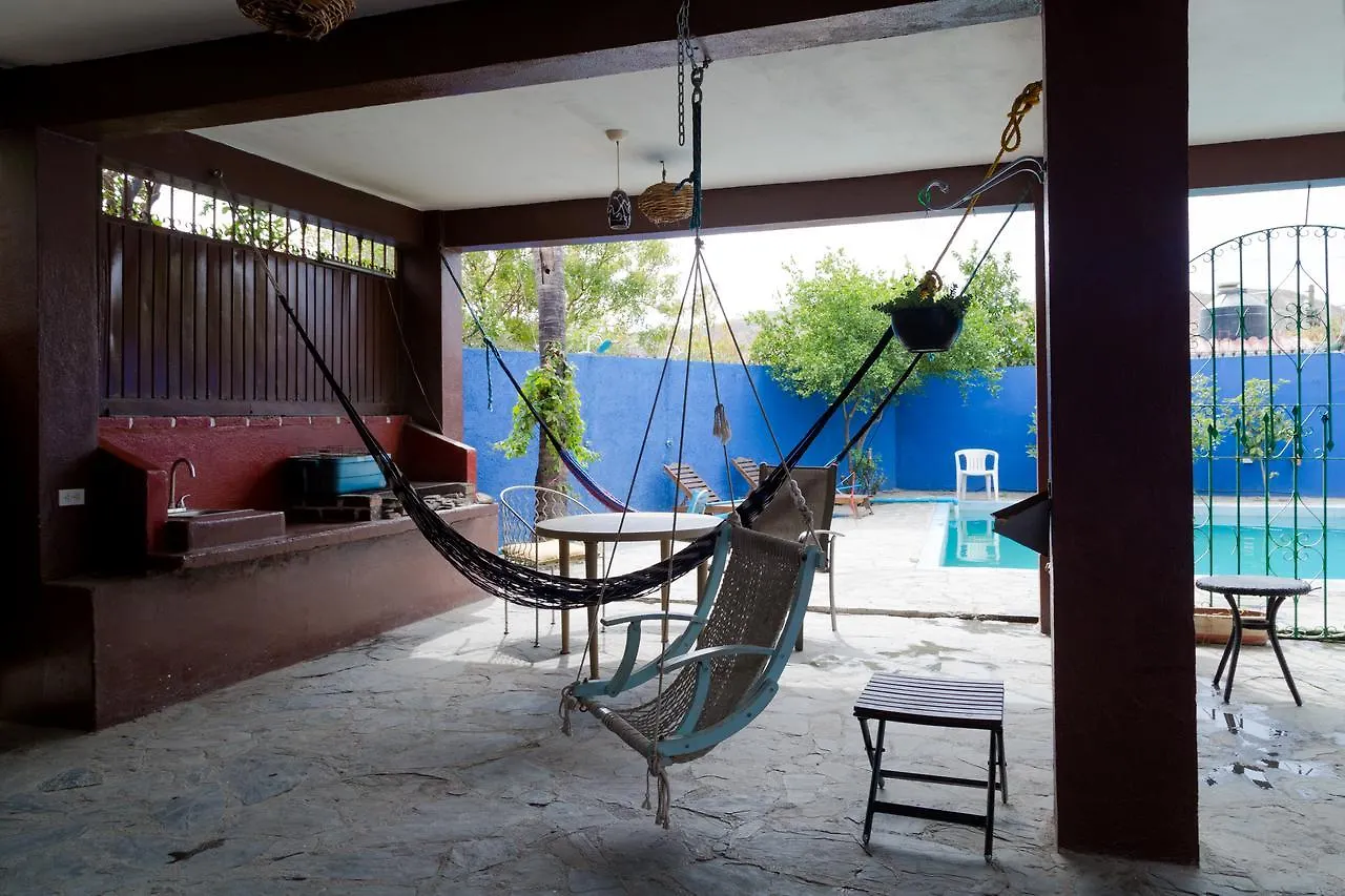 Ocean Tigers Dive House Hostel Cabo San Lucas Mexico