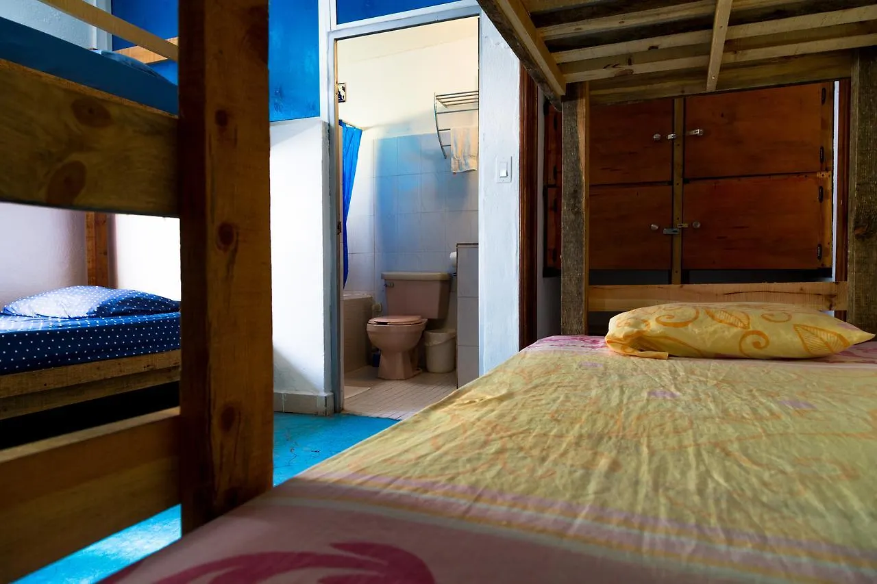 Ocean Tigers Dive House Hostel Cabo San Lucas