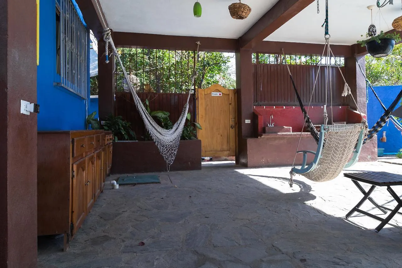 Ocean Tigers Dive House Hostel Cabo San Lucas