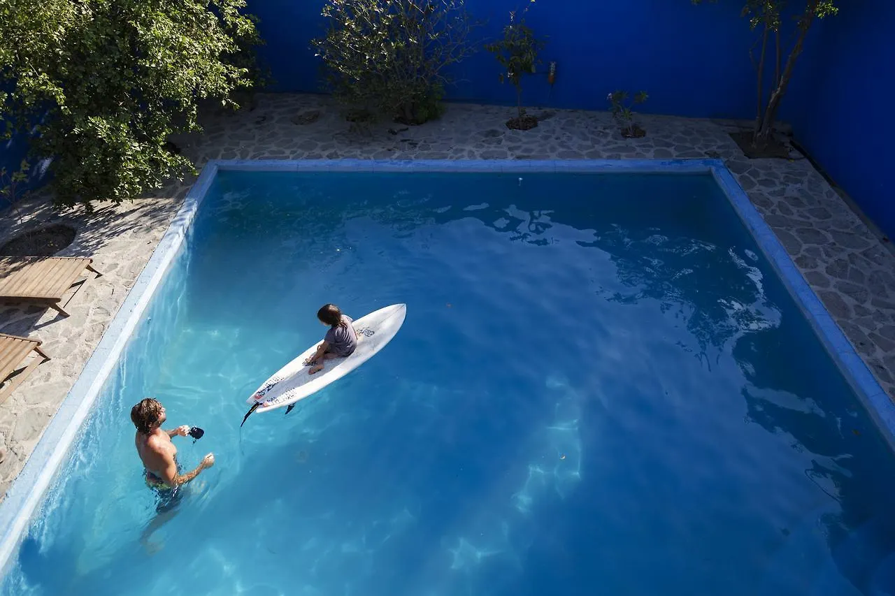 Ocean Tigers Dive House Hostel Cabo San Lucas Mexico