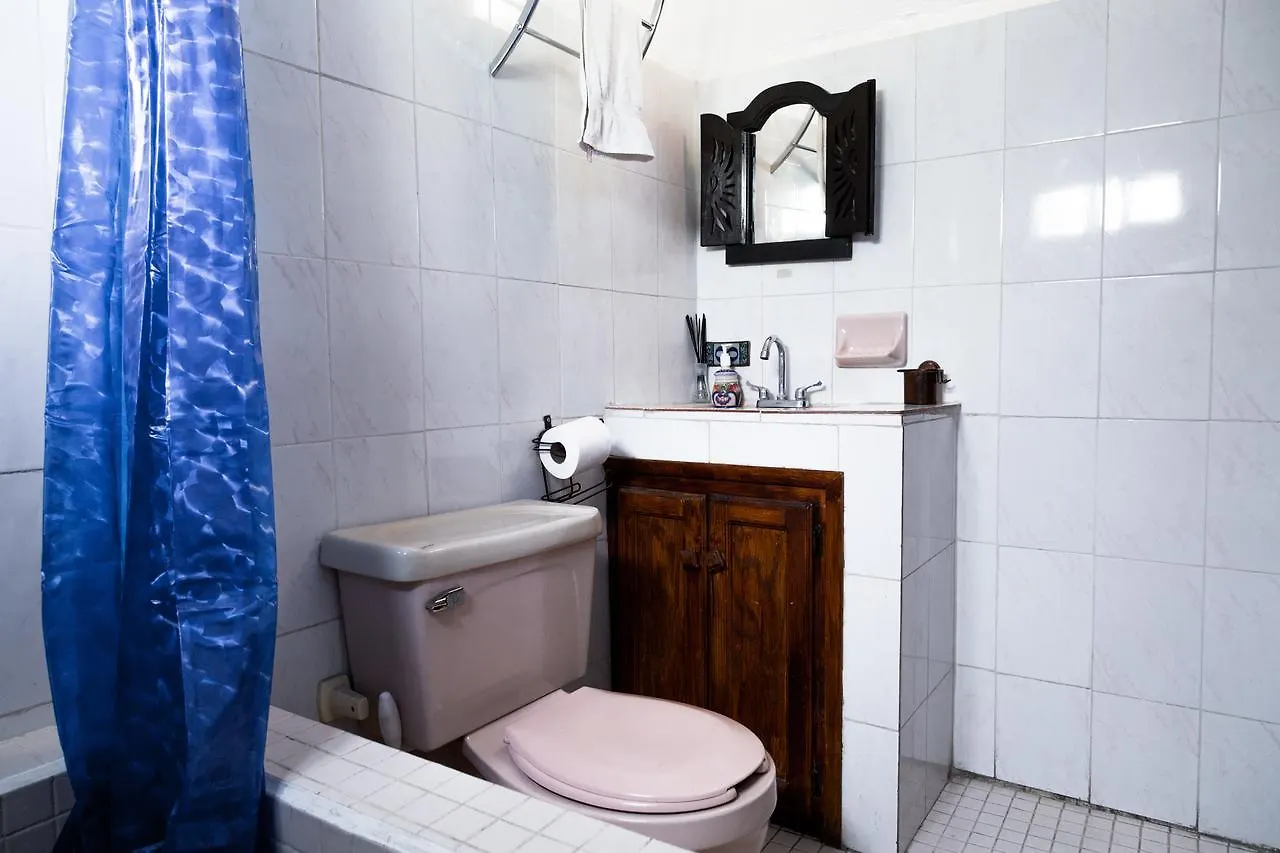 Ocean Tigers Dive House Hostel Cabo San Lucas Mexico